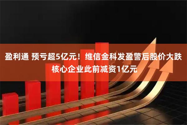 盈利通 预亏超5亿元！维信金科发盈警后股价大跌 核心企业此前减资1亿元