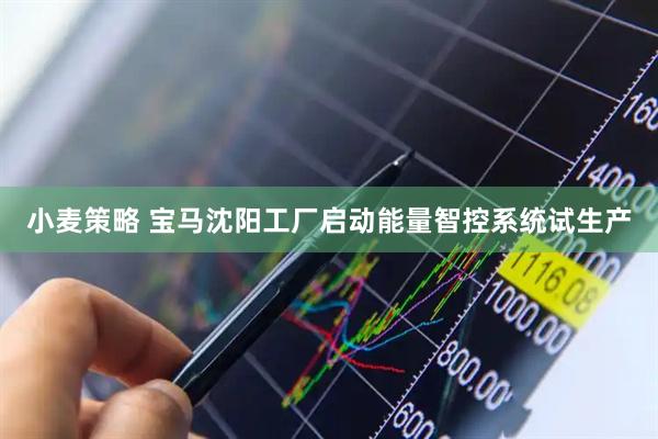 小麦策略 宝马沈阳工厂启动能量智控系统试生产