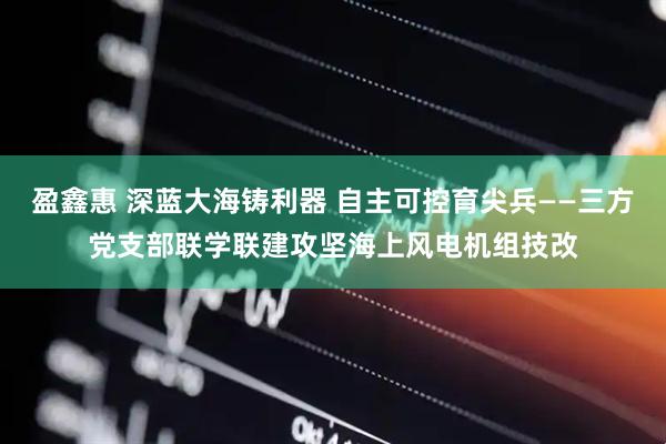 盈鑫惠 深蓝大海铸利器 自主可控育尖兵——三方党支部联学联建攻坚海上风电机组技改