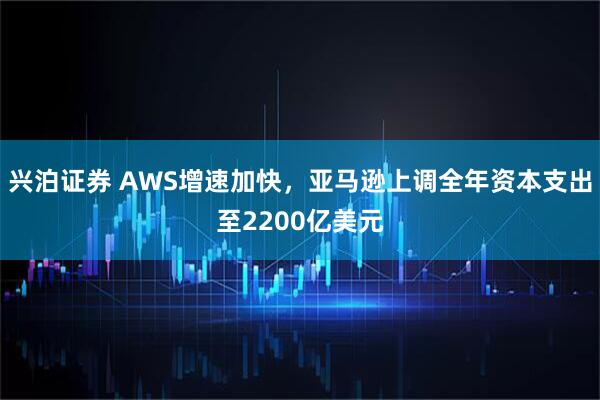 兴泊证券 AWS增速加快，亚马逊上调全年资本支出至2200亿美元